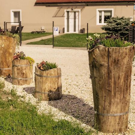 Apartament Pod Lasem Apartment Oldrzychowice Klodzkie Екстериор снимка